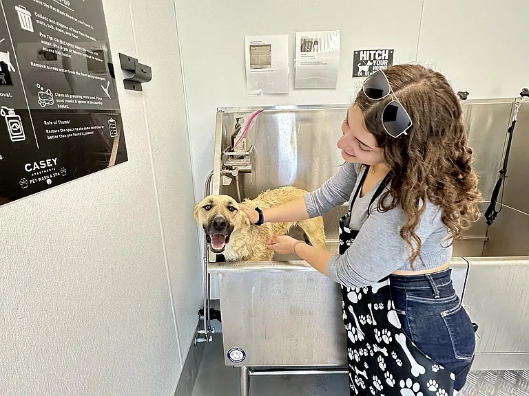 The Dog Wash