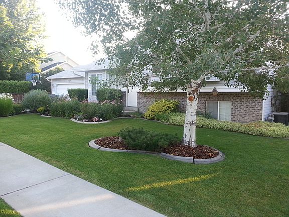 Beautiful Landscaping