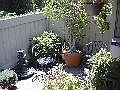4th image of 1453 Palisades Dr
