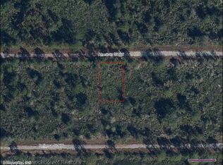 758 American St NW, Lake Placid, FL 33852