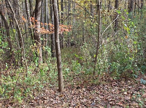 4th image of 116 Atlantic Falls Trl