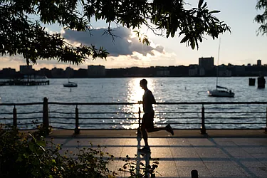 Rented by Prospect Management