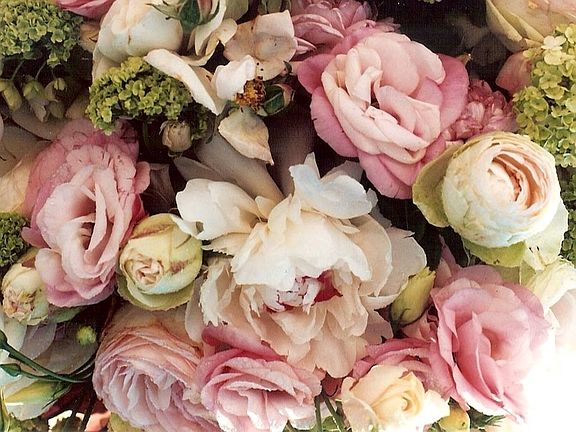 plantyourrosebordersoon!