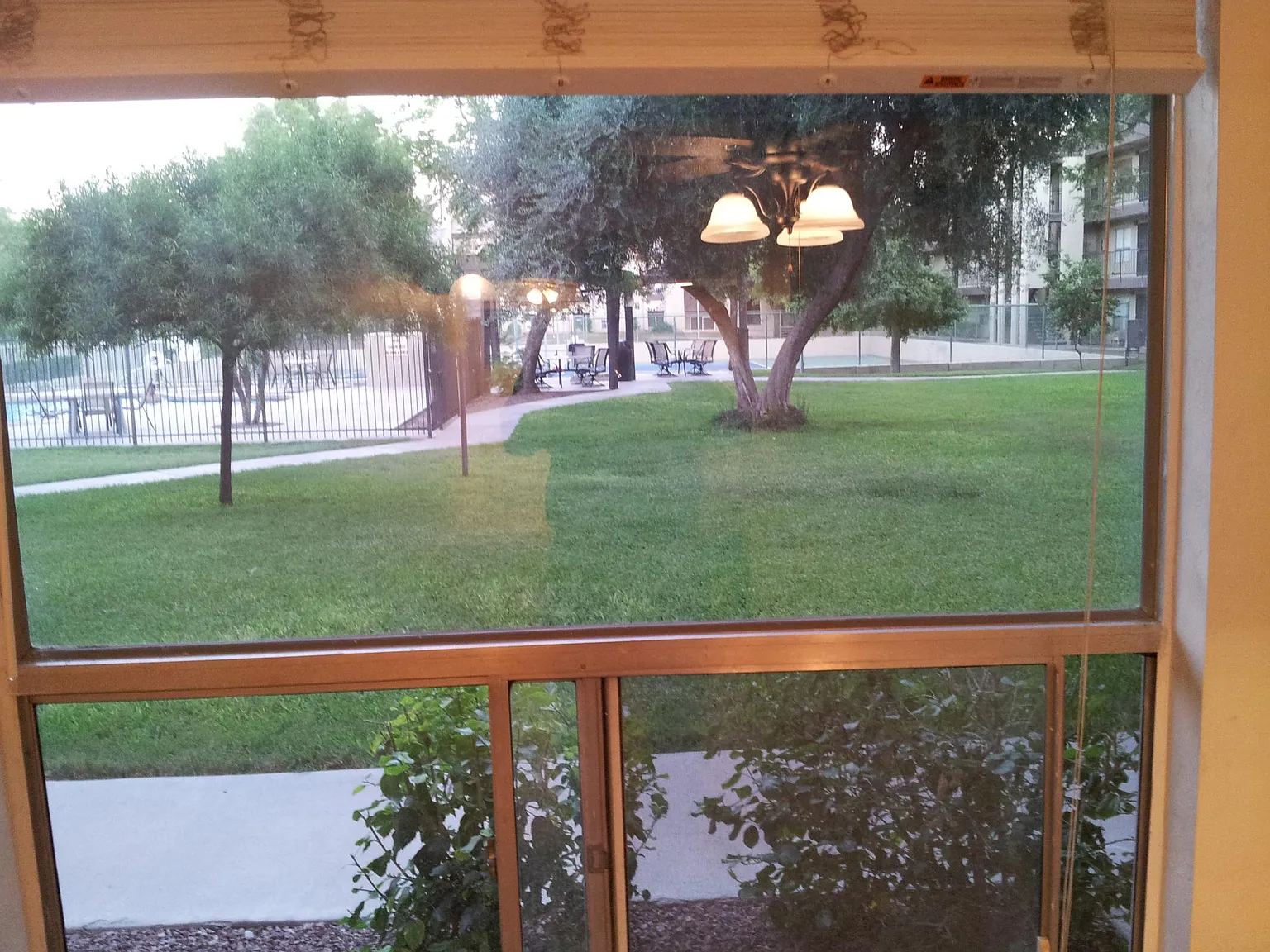 This is a view of the front from the 2nd bedroom. Very nice large grass area. Note: Pets are not allowed to use this area. There are areas designated to be used by pet.
