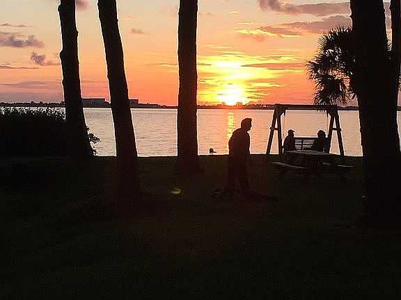 2nd image of 2700 Bayshore Blvd APT 5106
