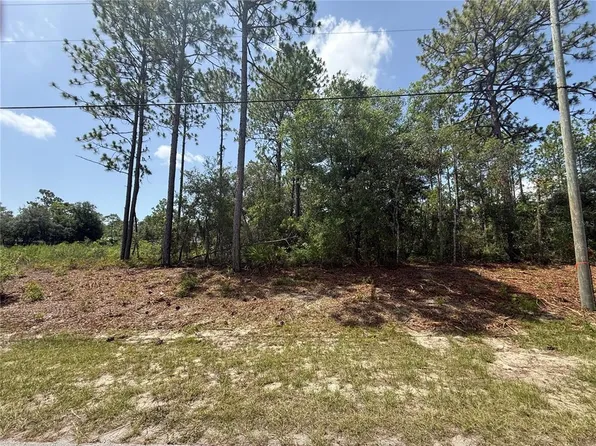 7069 N Santos Dr Lot 12, Dunnellon, FL 34434