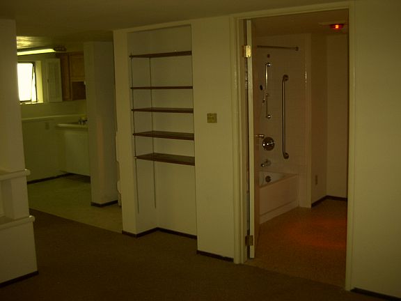 bookshelf. spacious bathroom