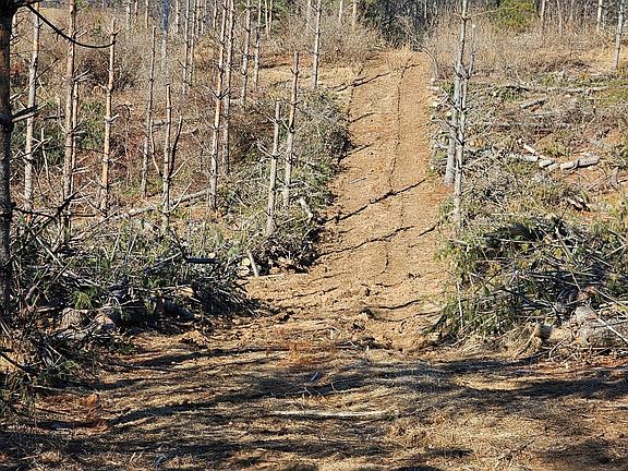 5th image of Tbd Excelsior School Rd