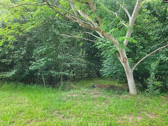 3rd image of 0 River Ridge Rd