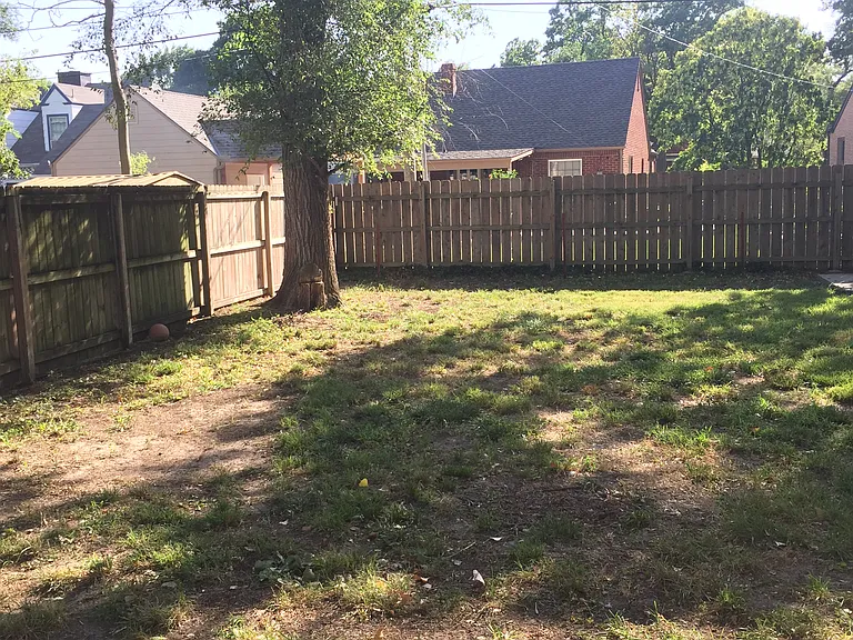 Back yard