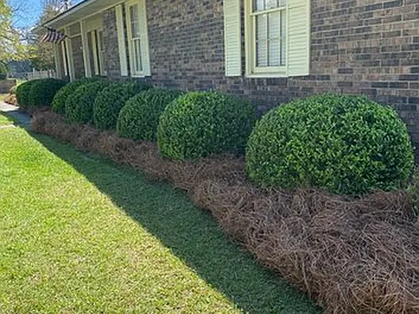 130 S Double Run St, Rebecca, GA 31783