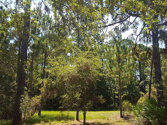 5th image of 2931 Pine Valley Dr