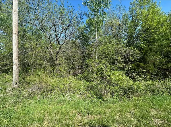 1702 Lake Viking Ter, Gallatin, MO 64640