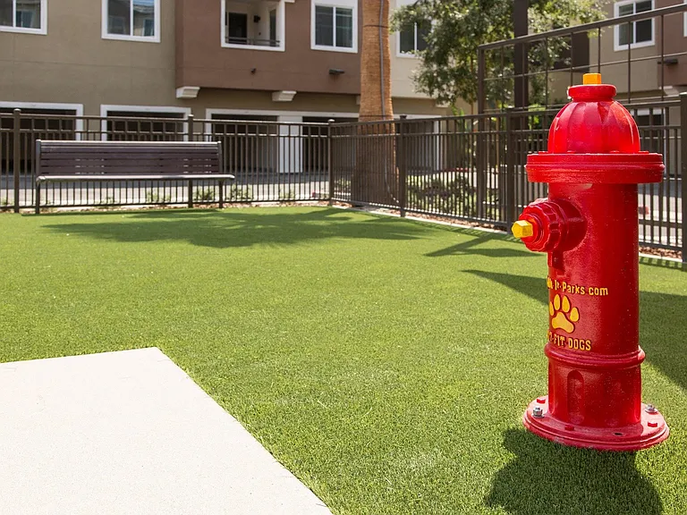 Onsite pet park.