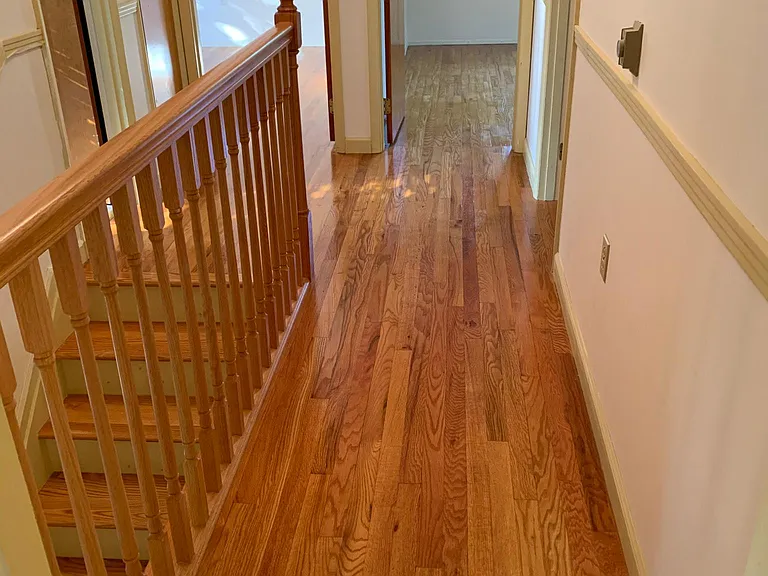 8811 Breezewood Dr — Photo 14