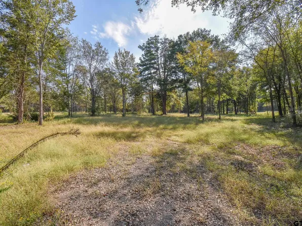 3236 N Fm 346, Bullard, TX 75757