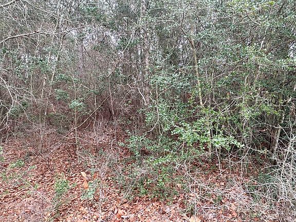 5th image of 40 Green Oak Dr