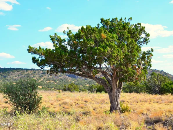 11154 Howard Mesa Loop, Williams, AZ 86046