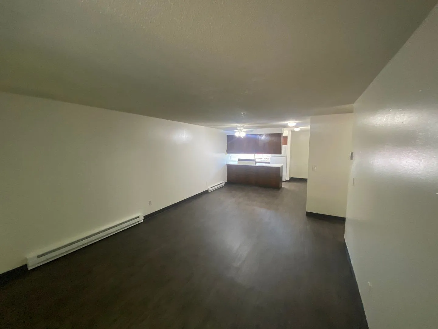 2 bed, 1.0 bath, 820 sqft, $1,195 — Photo 4