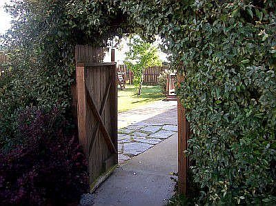 Arbor