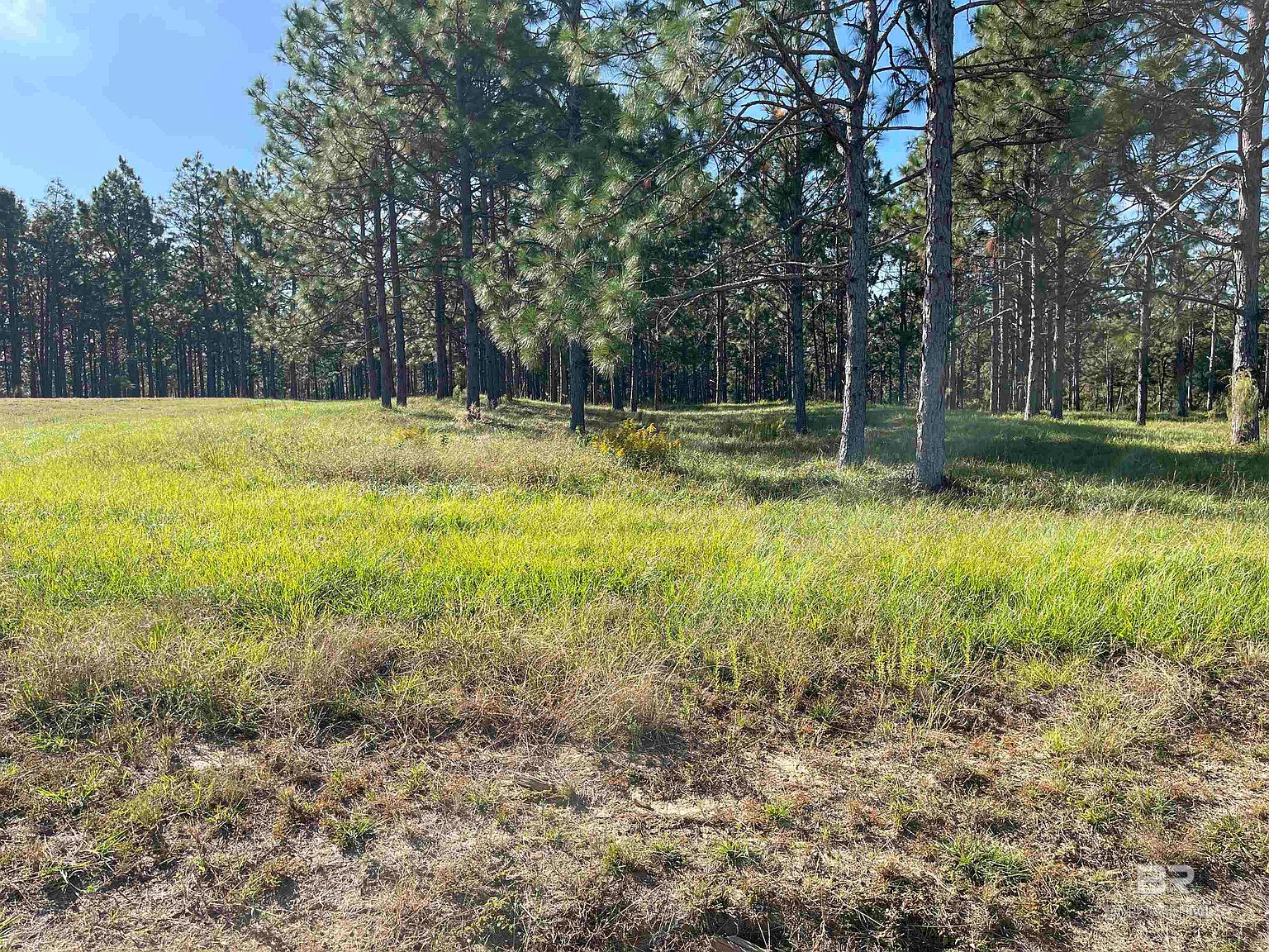 0 Fackler Rd LOT 1, Loxley, AL 36551 MLS 353449 Zillow