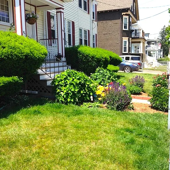 Hewlett St — Photo 16