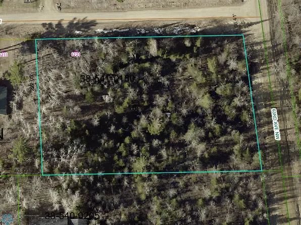 6221 Woodgate Ln NW, Walker, MN 56484
