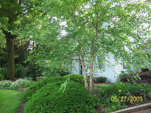 Front Landscaping