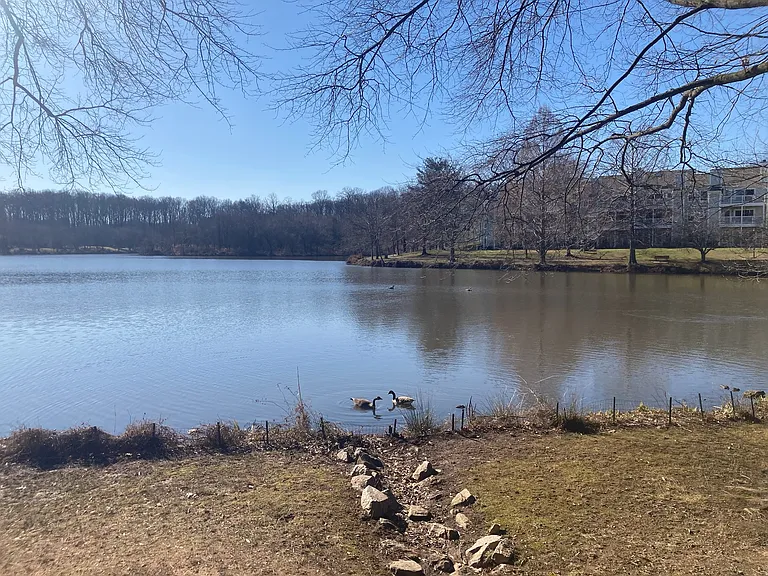 7725 Inversham Dr #139 — Photo 35