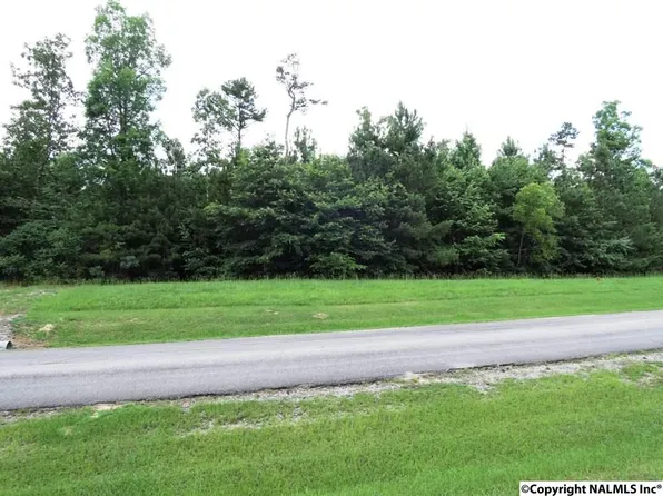 208 Stoney Point Rd S, Double Springs, AL 35553