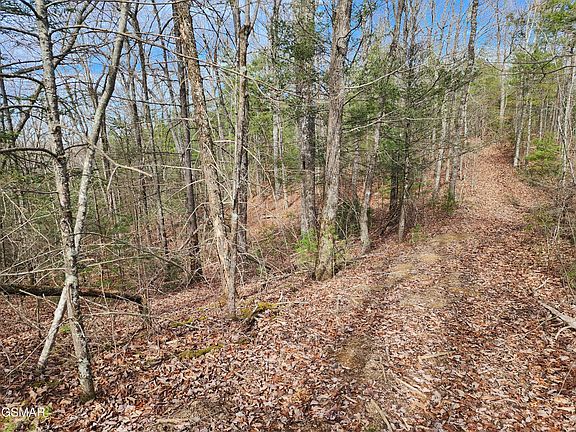 5th image of 0 Dockery Branch Rd