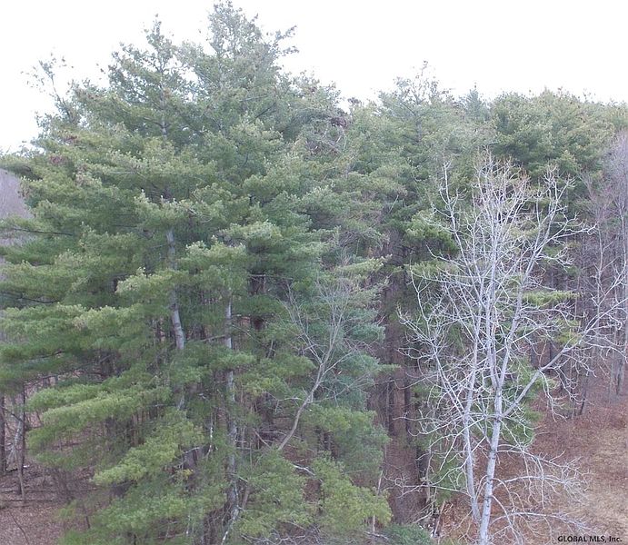 3rd image of 00 E SCHAGHTICOKE Road