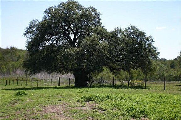 5th image of 640 County Road 161