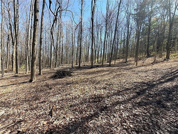 2nd image of Fitzgerald Rd Lot 12