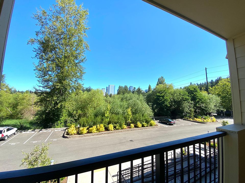 Views from deck