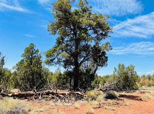 5128 N Bull Run Rd LOT D, Williams, AZ 86046