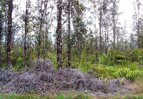 Frontage of lot 3180