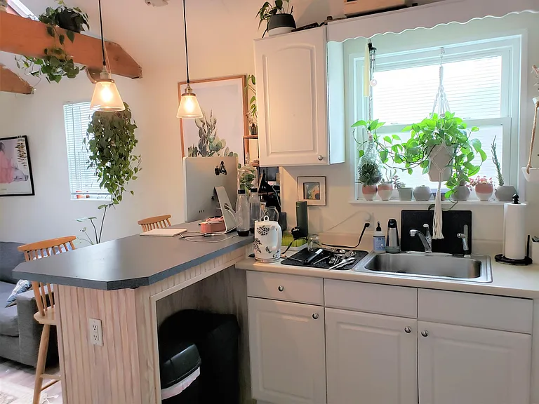 22 Armington St #REAR — Photo 4