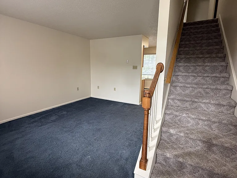 4622 Washington Meadows Ln — Photo 4