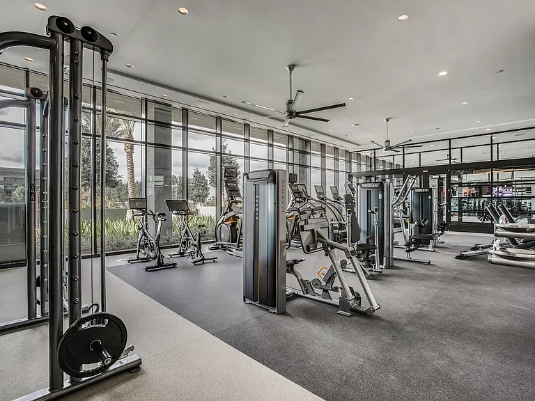 Energize your workouts.
