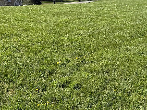 2nd image of 3233 Tick Ridge Rd