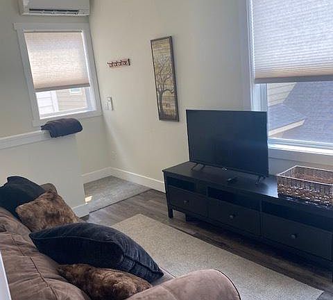 living area - big screen