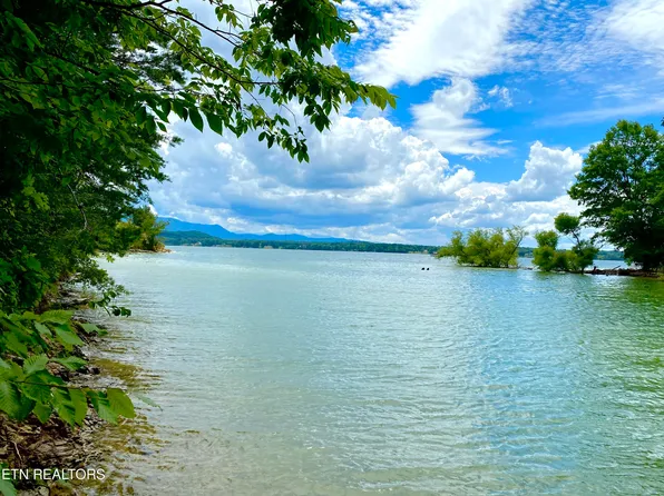 Tyler Ct, White Pine, TN 37890