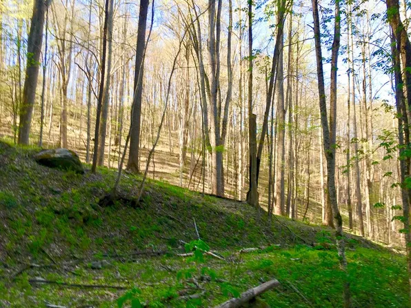 E Silvermine Rd, Bryson City, NC 28713