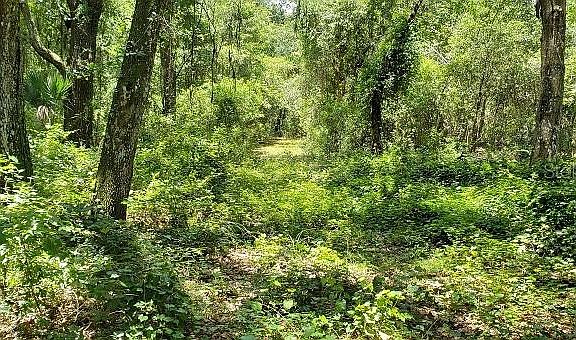 5th image of Deepwell Dr