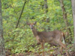 167 Lynhurst Dr, Fairfield Glade, TN 38558