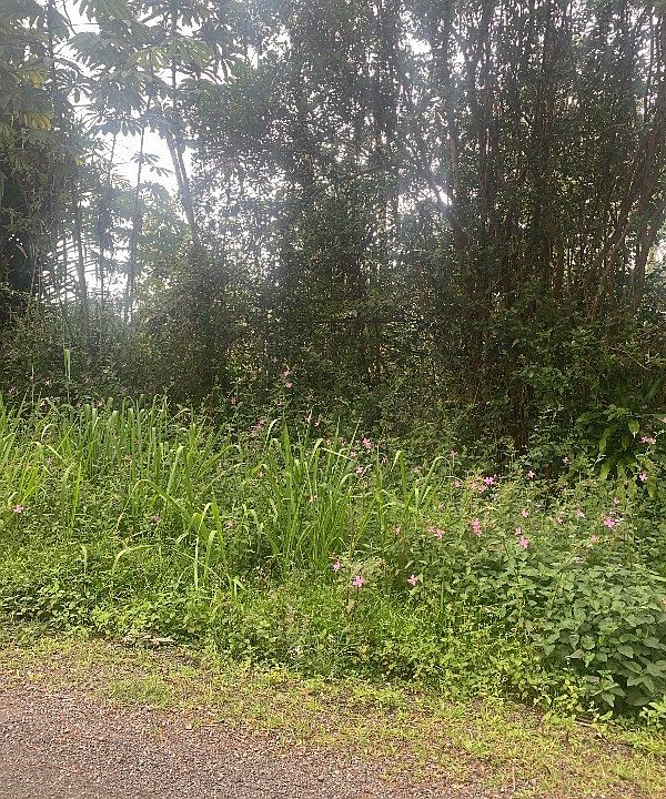 1st image of 18th Avenue Maia Lot 120