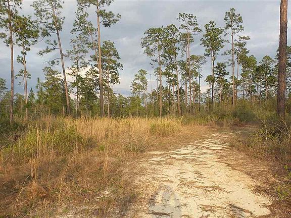 5th image of 2 Lewis Rd