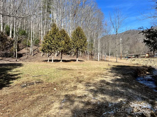 1087 Plum Branch Rd, Burnsville, NC 28714