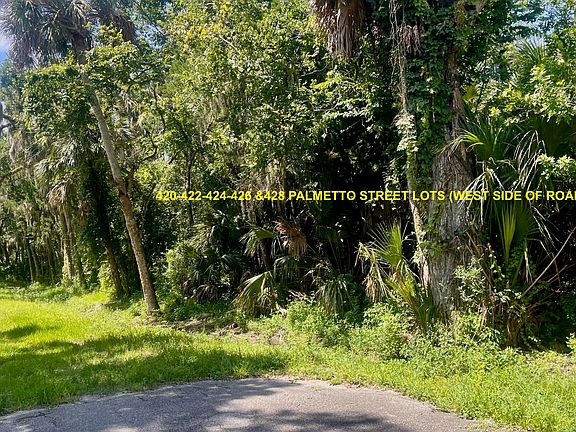 3rd image of 428 Palmetto St
